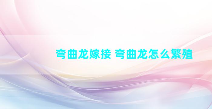 弯曲龙嫁接 弯曲龙怎么繁殖